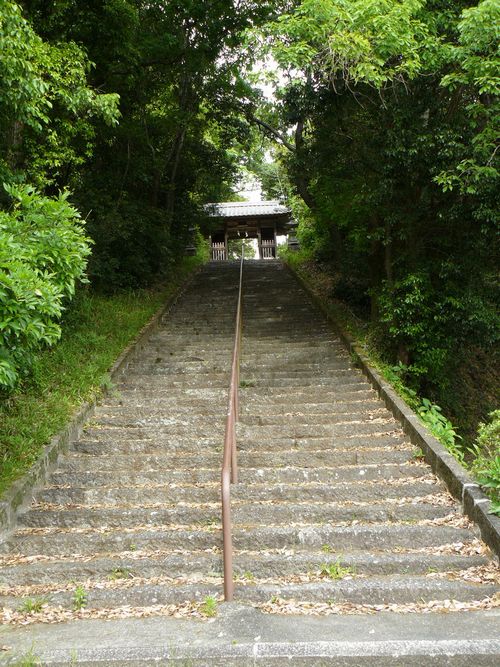 ���甪���{