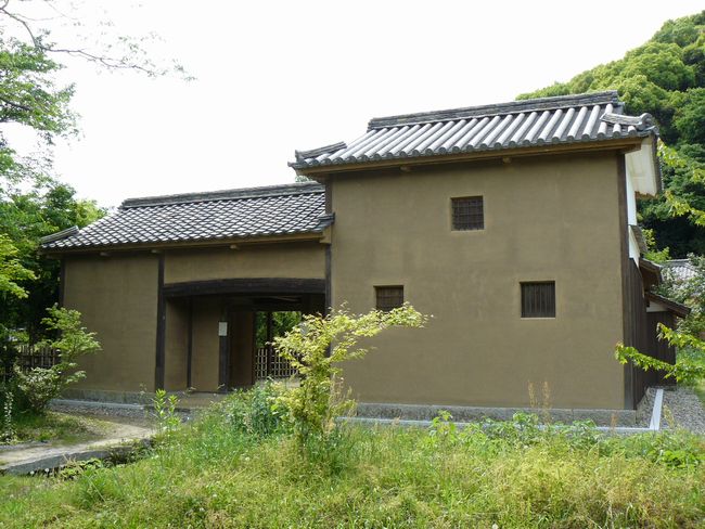 �؉���������