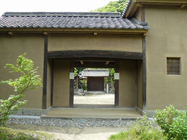 �؉���������