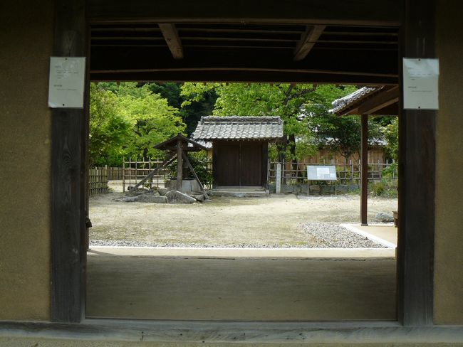 �؉���������