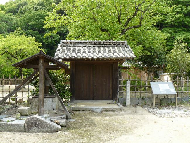 �؉���������