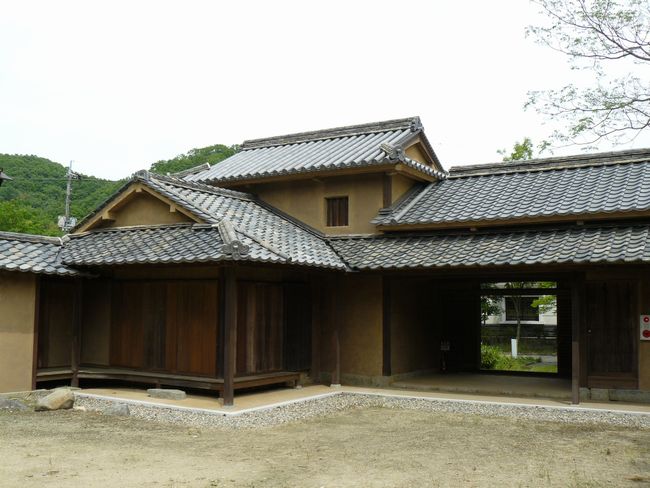 �؉���������