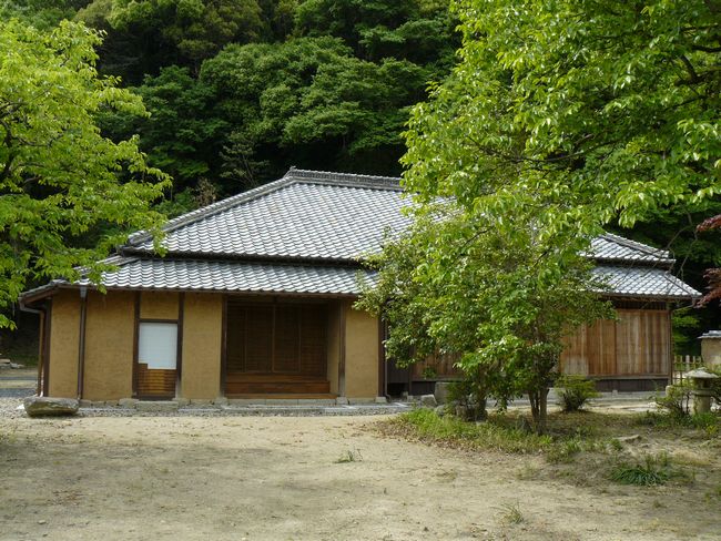 �؉���������