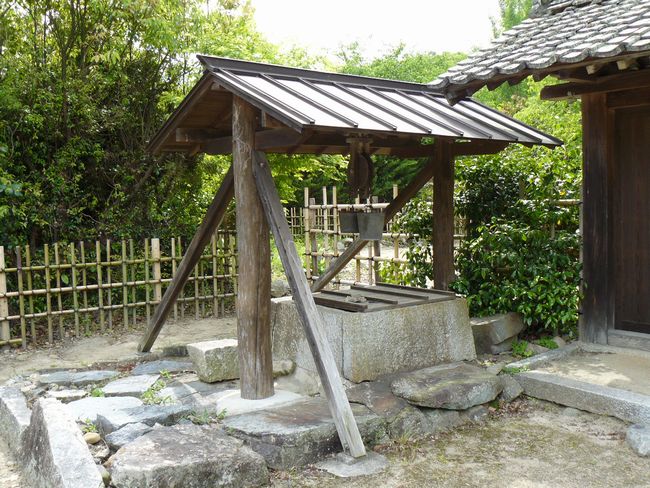 �؉���������