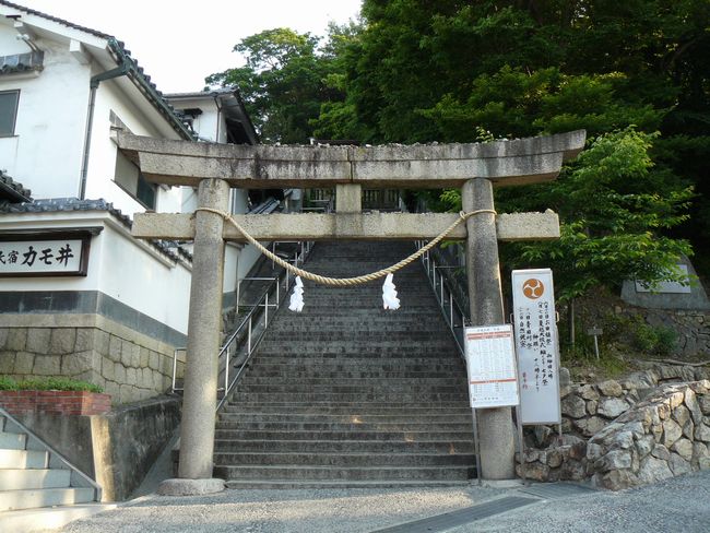 ���q�_��