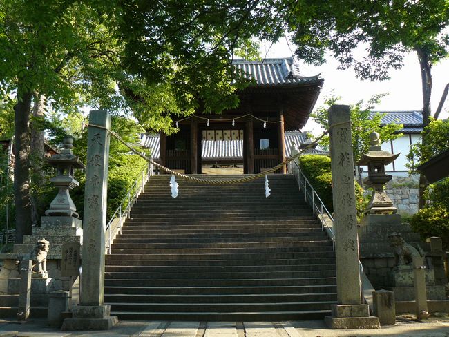 ���q�_��