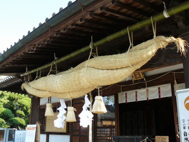 ���q�_��