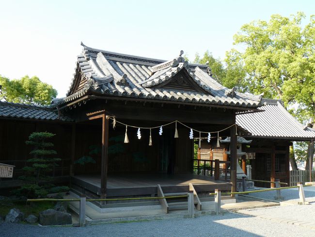 ���q�_��