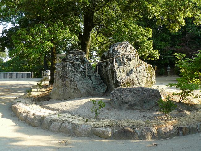 ���q�_��