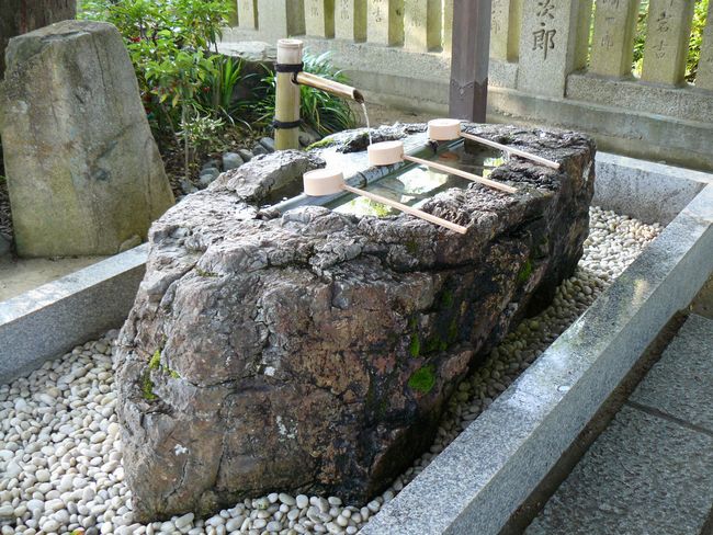 ���q�_��