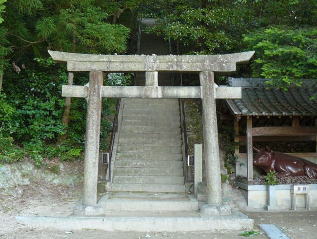 �c�q���_��