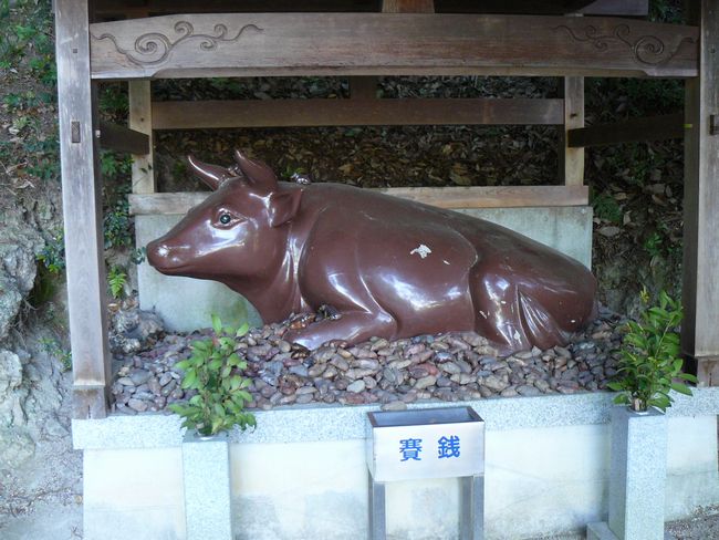 �c�q���_��