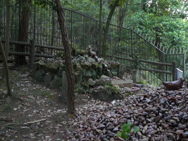 �c�q���_��