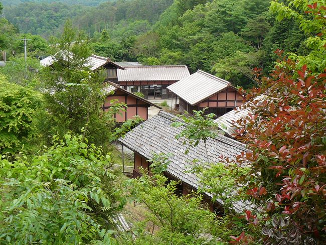 �x���K����