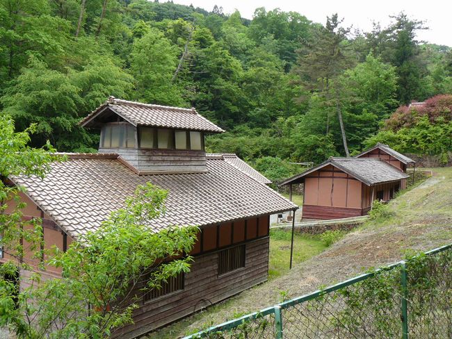 �x���K����