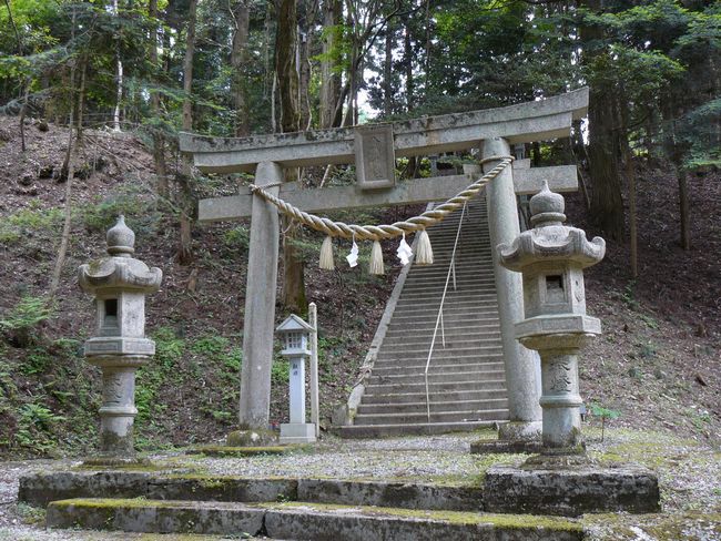 ���������_��