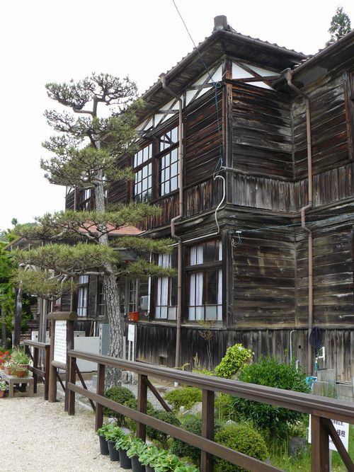 �������w�Z�Z��