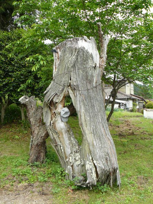 �{�R�R�_��