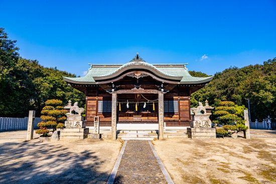 �{�������{