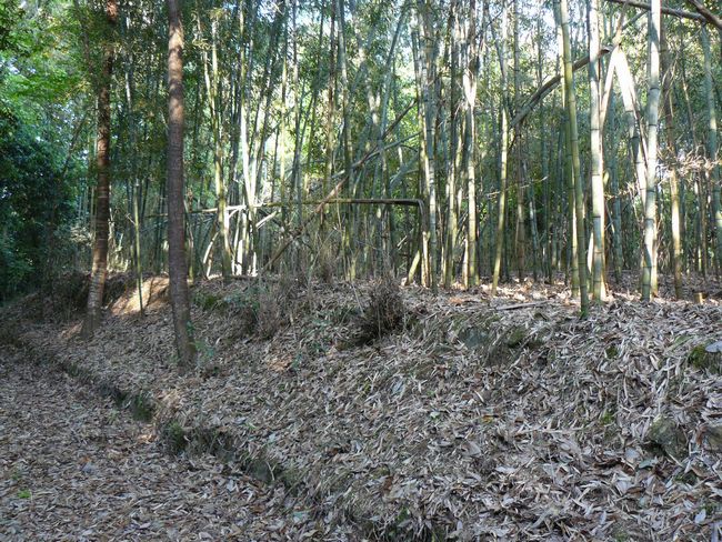 �����E�Q��