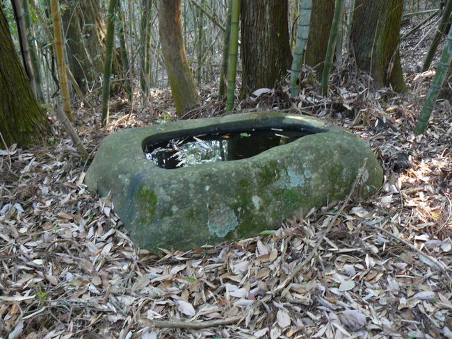 �����E�Q��