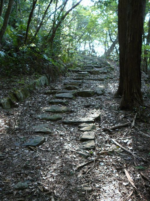 �a�ӒJ�r�c�ƕ揊�E�����E�Q��