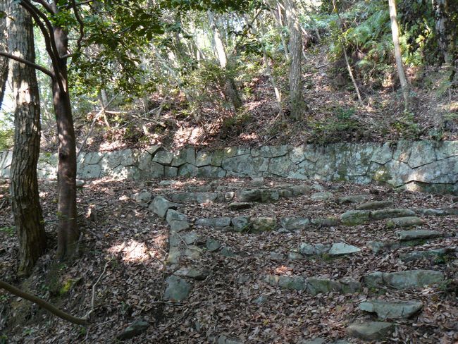 �����E�Q��