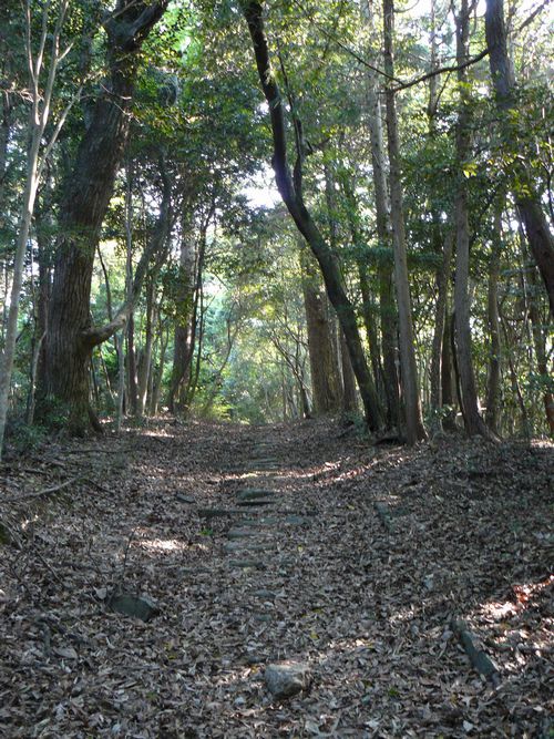 �a�ӒJ�r�c�ƕ揊�E�����E�Q��