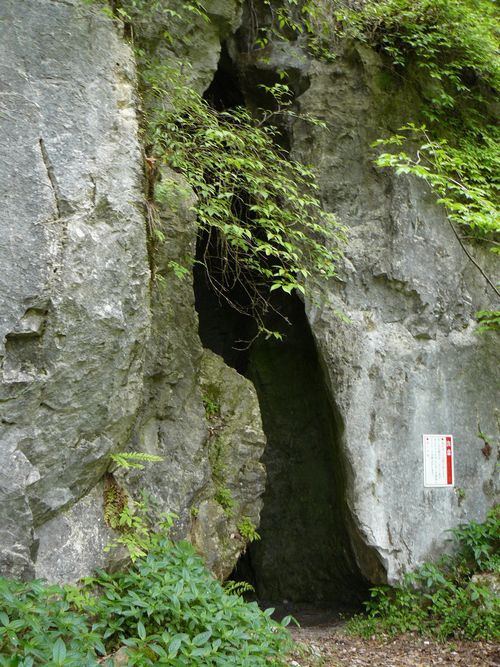 �_��̋S�̌�