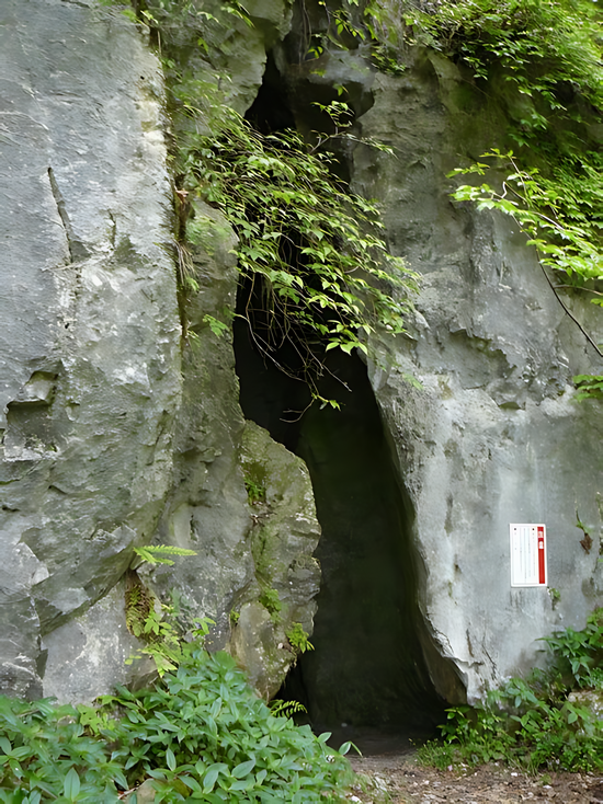 �_��̋S�̌�