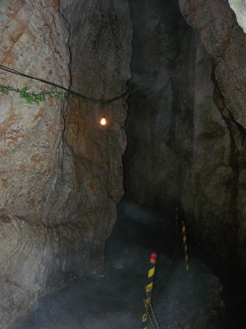 �_��̋S�̌�