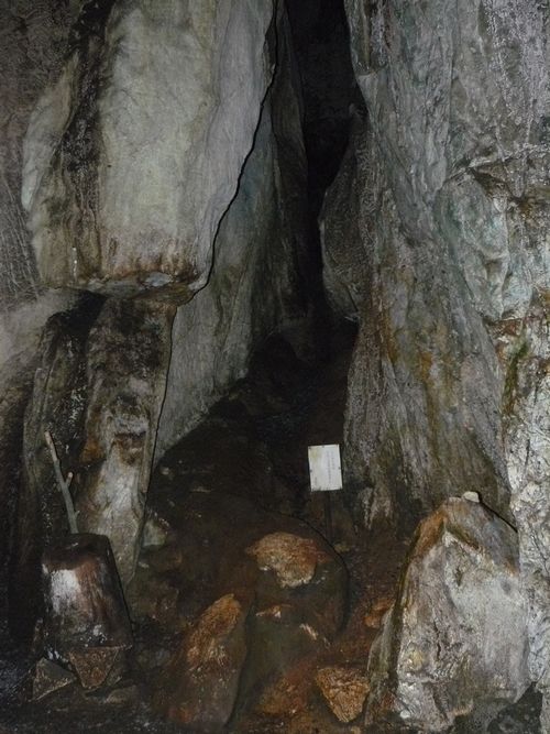 �_��̋S�̌�