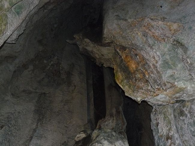 �_��̋S�̌�