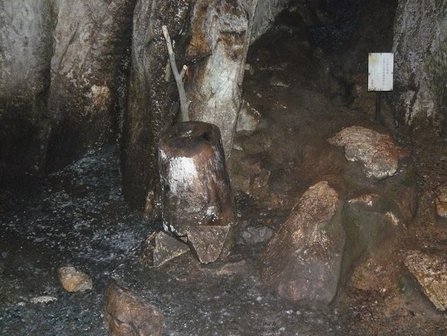 �_��̋S�̌�