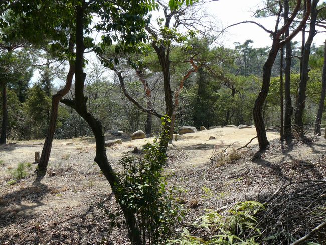 �b�Ό�����