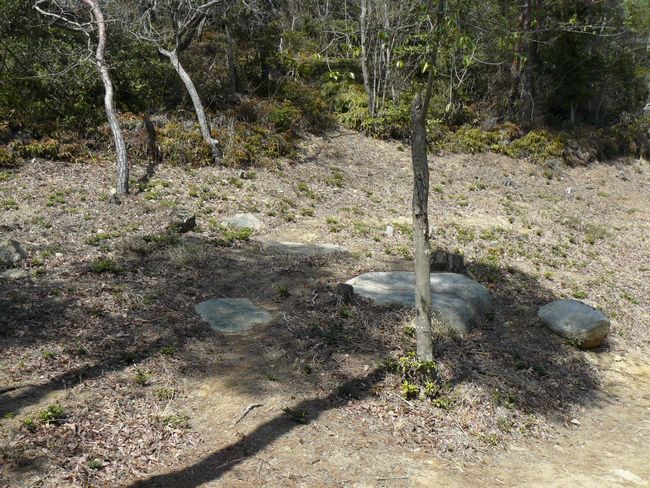 �b�Ό�����