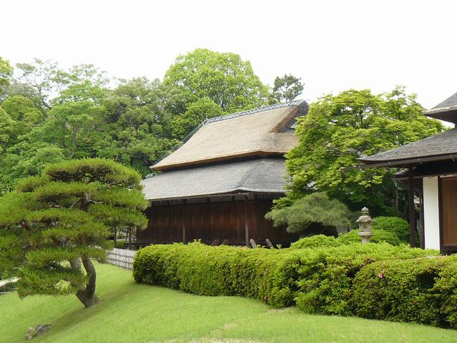 �\����E�h���̊�