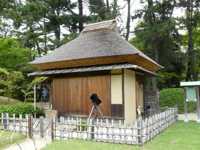 �����׋���