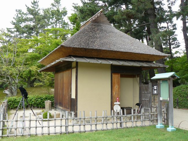 �����׋���