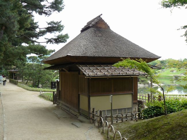 �����׋���