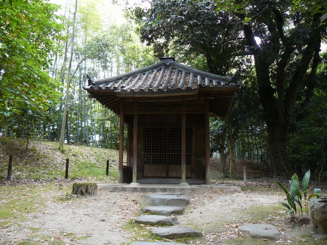 �l�V����