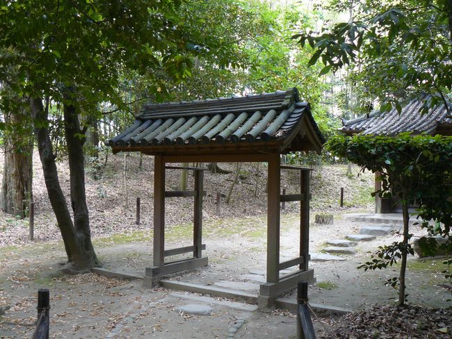 �l�V����