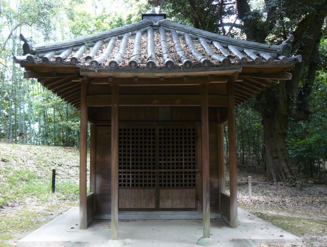 �l�V����