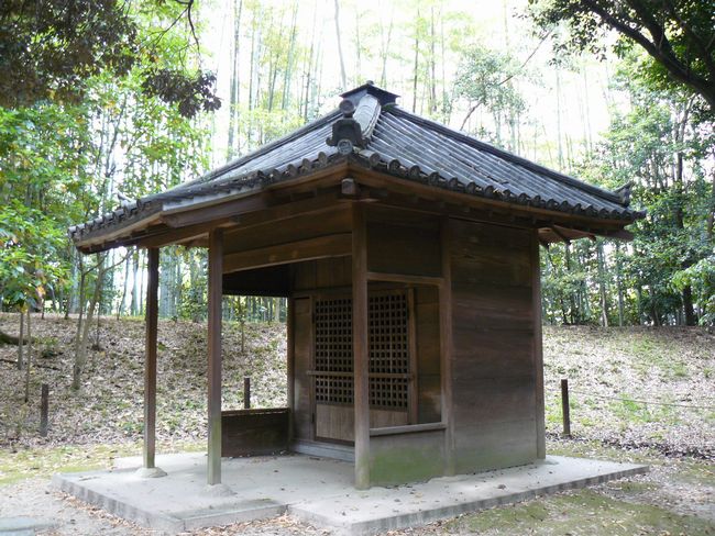 �l�V����