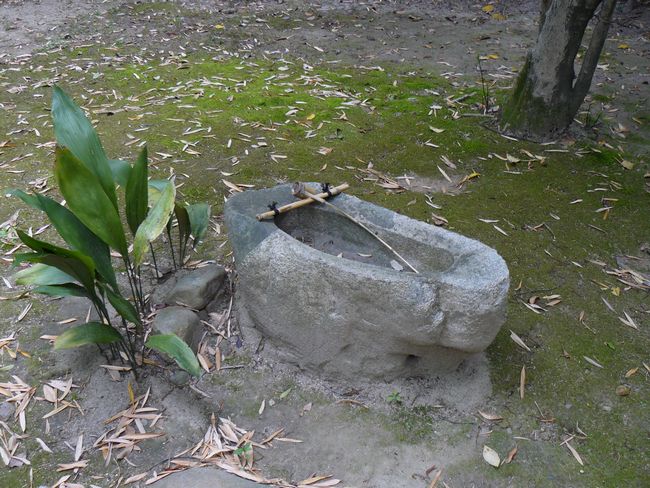 �l�V����