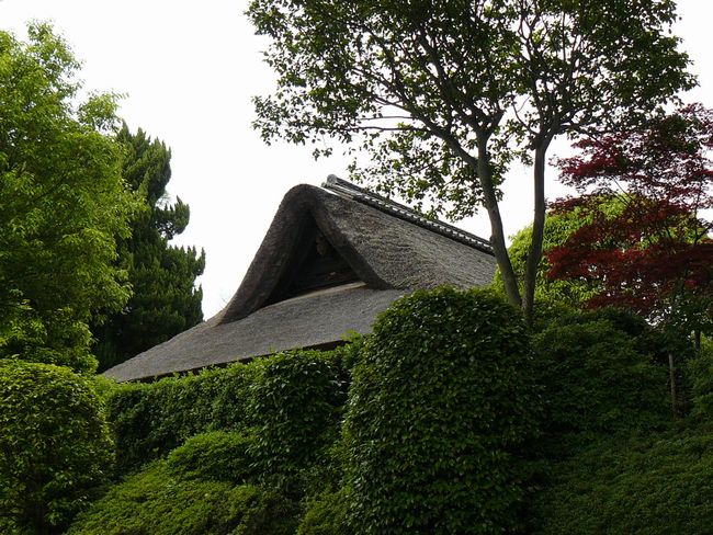 �ܗ�����@