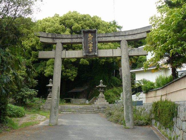 �{�������{