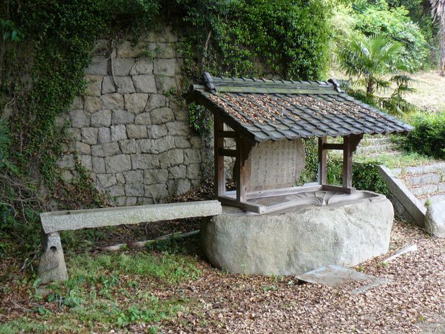 �{�������{