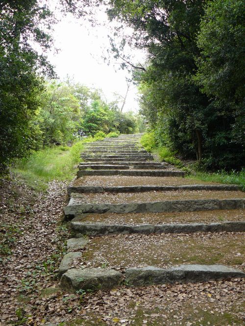 �{�������{