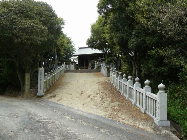 �{�������{